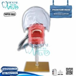 Phantom Head With Base Support