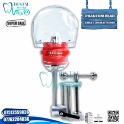 Dental Phantom Head Model / Table Attached