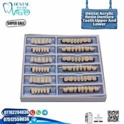 Dental Acrylic Teeth - Upper and Lower 28 Teeth Set