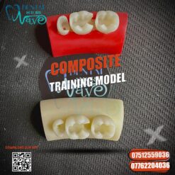 Posterior Composite Training Model