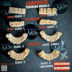Composite Training Models