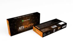 Dengen MTA Putty 2gm