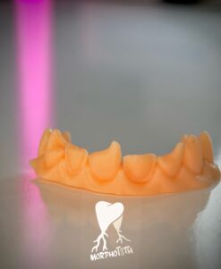 Class 4 and Veneer Training Model